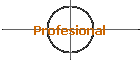 Profesional